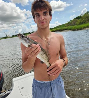 Reeling in trout near Brunswick