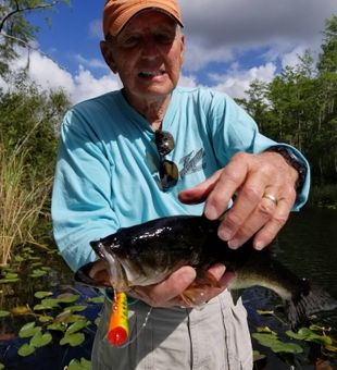 Florida's Top Bass Fishing