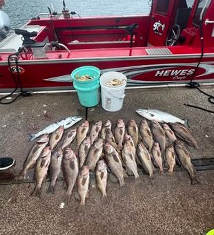 Explore the coastal waters of Coos Bay, Oregon, where scenic shorelines, winding waterways, and Pacific Northwest fishing opportunities create the perfect setting for a day on the water.