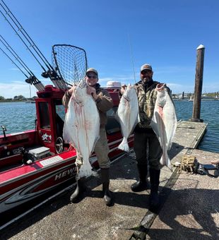 Huge halibut, proud anglers.