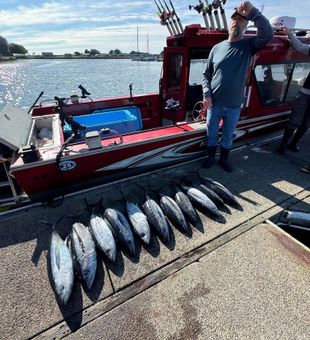 Coos Bay Tuna Fishing Adventure