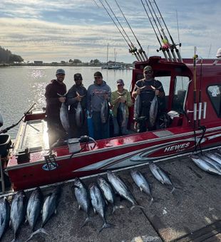 Reeling in Trophy Tuna Coos Bay