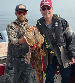 Lingcod fishing in Coos Bay, OR, featuring aggressive strikes and impressive catches.