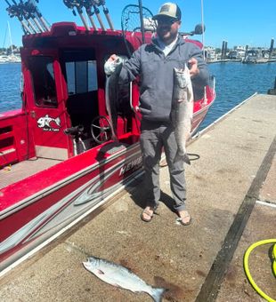 Fresh Coho salmon from Myrtle Creek waters!