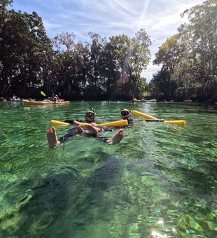 There’s something special about sharing the water with manatees. Discover the magic of Crystal River and its incredible underwater wildlife.