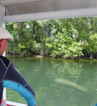 Crystal River boat tours: adventure awaits
