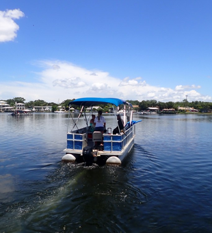 Crystal River boat tours: join us!