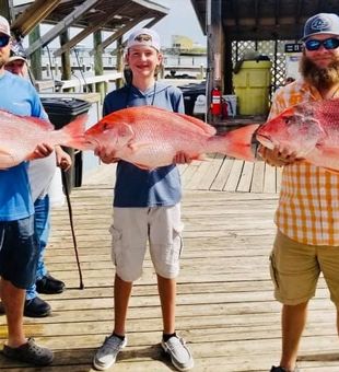 Red Snapper in the Gulf Coast