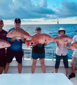 Inshore Fishing in the Gulf Coast