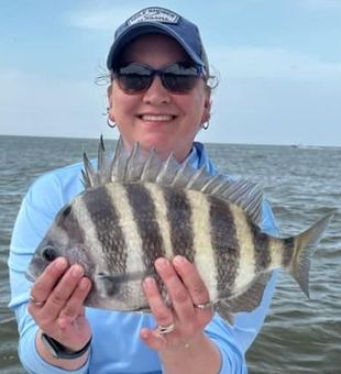 Sheepshead in the Gulf Coast
