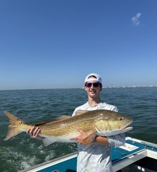 Massive Redfish success!