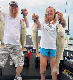 Walleye bites across Erie