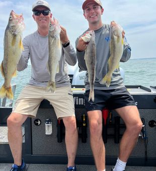 Lake Erie walleye on the move