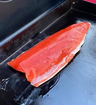 Fresh Kenai salmon ready for the fillet table!