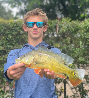 Nice peacock bass on light tackle! Great colors on this one.