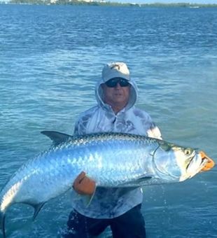 Hooked a Moster Tarpon in Key West