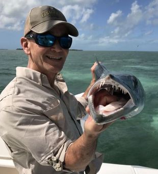 Barracuda in Key West, FL