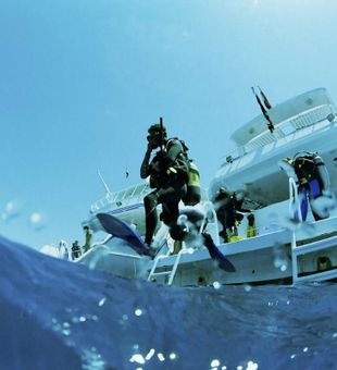 Diving for Crevalle Jack in Barbados waters.
