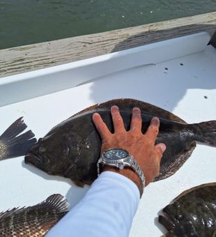 Local guide, epic catch