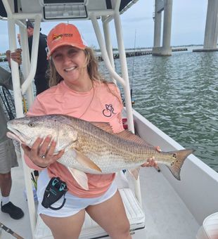 Powerful Redfish catch