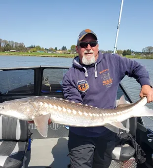 Big sturgeon action on the Columbia River—Oregon river fishing at its finest.