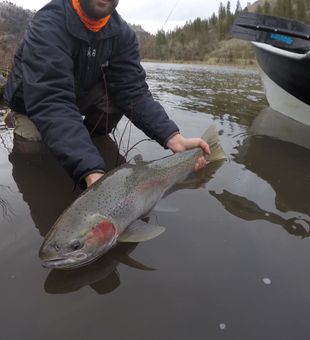 Awesome catch for today!