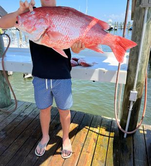 Massive Red Snapper on a Florida fishing charter!