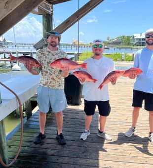 Orange Beach charter fishing fun