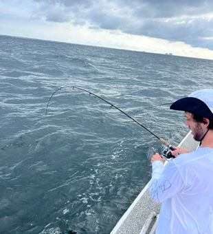 Patiently waiting for a big one in Orange Beach FL