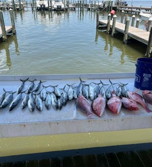 Family fishing trip Orange Beach AL