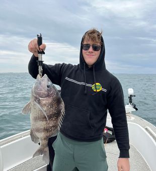 Orange Beach FL Fishing Charter catches.
