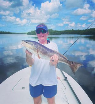 Redfish in Naples, Florida