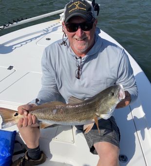 Wrightsville Beach Fish