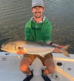 North Carolina Fish