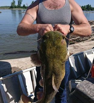 Catfish Fishing
