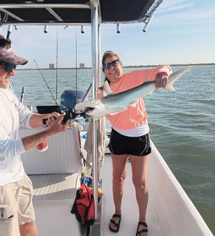 Energetic shark catch in Fort Myers waters!