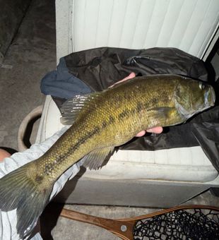 Nice bass catch in Kingston GA waters!