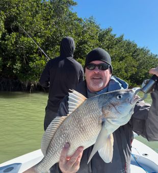 Islamorada drum are pure muscle. Great catch!