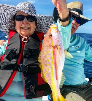 Lane Snapper Beauty! - Islamorada, FL.