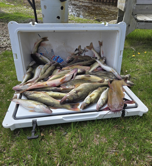 Let’s Fish Michigan’s Hidden Gem