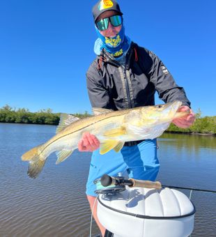 Golden Snook—picture-perfect.