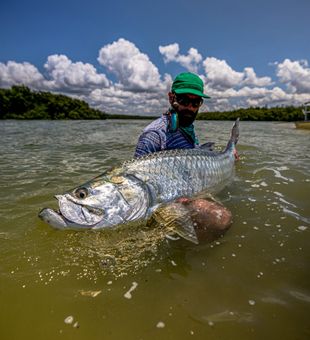 Tarpon on the line—let the fight begin!