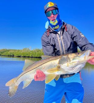 Beautiful Naples snook making the day complete!