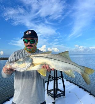 Beautiful Naples FL snook making memories on the water!