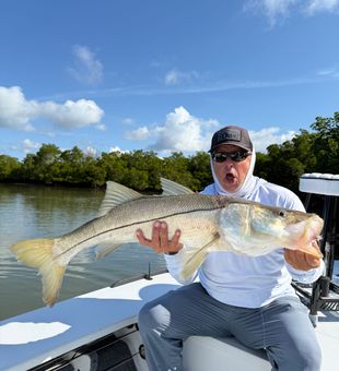Chunky Snook—absolute unit.