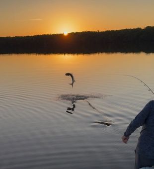 Epic Sunset Catch! -Everglades, FL