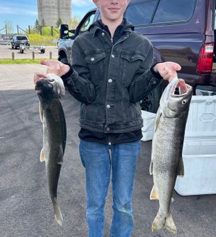 Beautiful lake trout from Duluth waters!