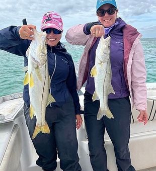 Snook Fishing In Miami, FL