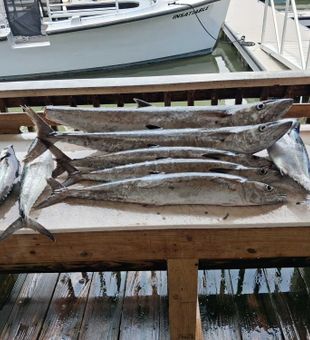 King mackerel success in Port Orange waters!