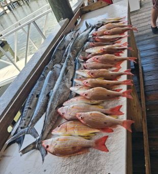 Lane snapper success in Port Orange waters!